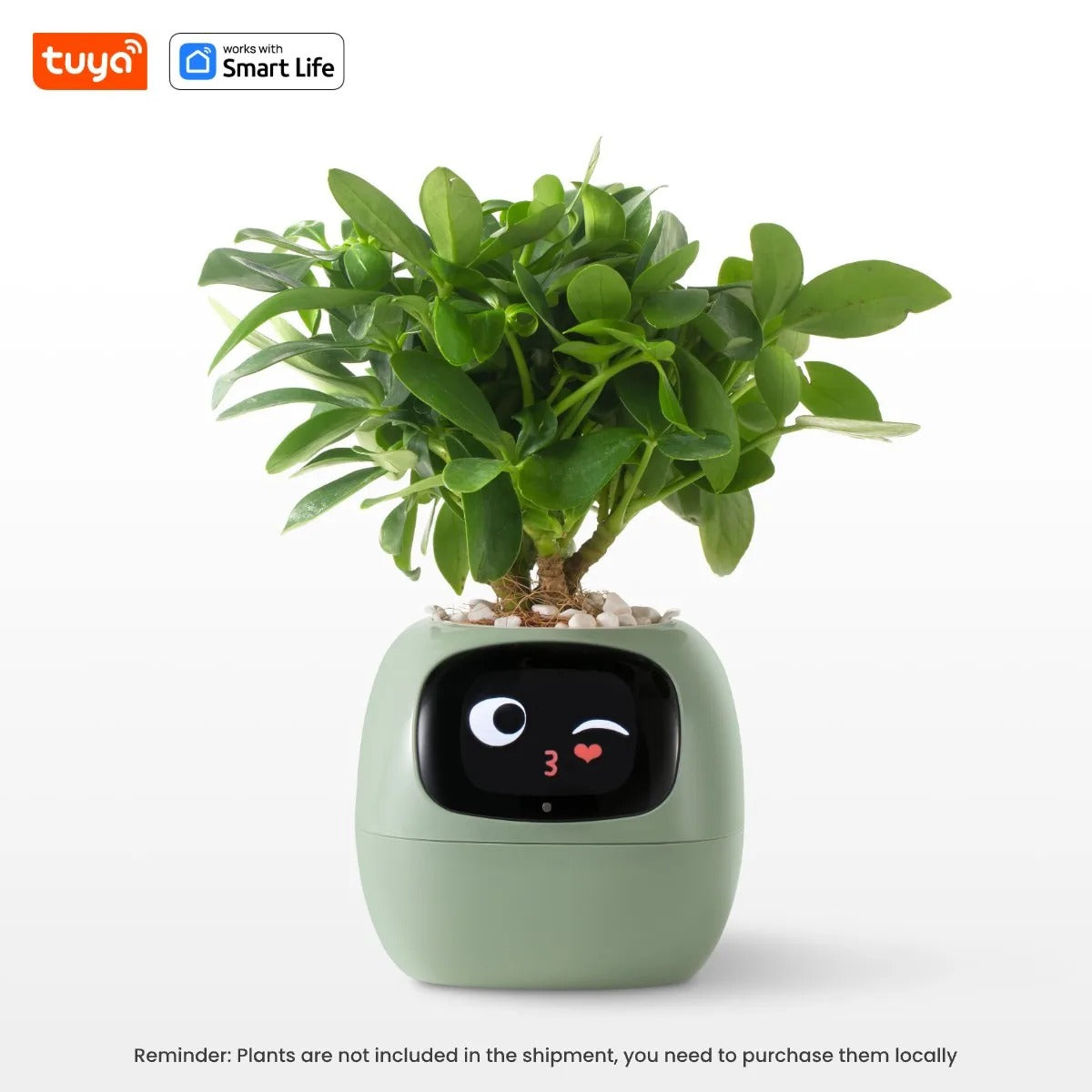 The Tiny Gardener's Secret  A Plant Whisperer Robot